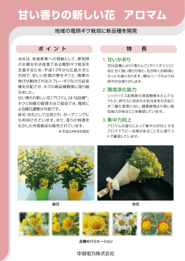 甘い香りの新しい花 アロマム[PDF：307KB]
