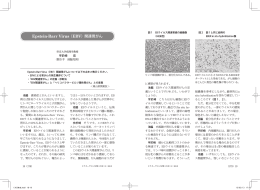 Epstein-Barr Virus（EBV）関連胃がん