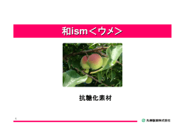 和ism＜ウメ＞