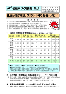 岩船米づくり情報 No.4 生育はほぼ順調、溝切り・中干しは遅れずに！