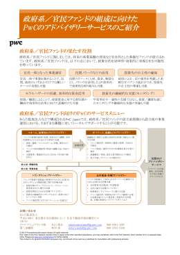政府系／官民ファンドの組成に向けた PwCのアドバイザリーサービスの