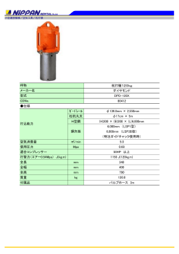 杭打機120kg ダイヤモンド DPD-120X 80412 仕様 ｶﾞｰﾄﾞﾚｰﾙ φ139