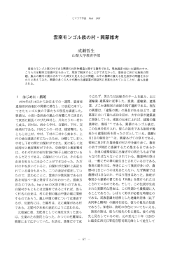 雲南モンゴル族の村・興蒙雑考