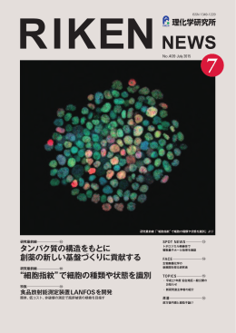 タンパク質の構造をもとに 創薬の新しい基盤づくりに貢献