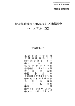 橋梁基礎構造の形状および損傷調査マニュアル(案)