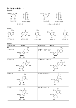 【9】核酸の構造（1）