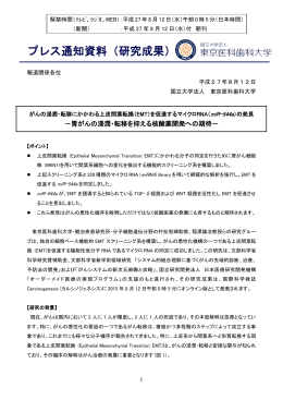 がんの浸潤・転移にかかわる上皮間葉転換