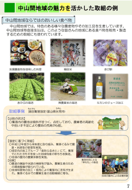中山間地域等直接支払制度パンフレット_3.