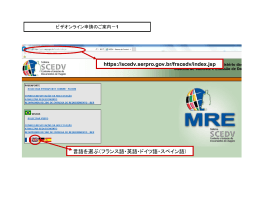 https://scedv.serpro.gov.br/frscedv/index.jsp 言語を選ぶ（フランス語