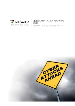 DNS DDoS攻撃とは？