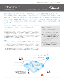 Prolexic Routed の製品概要