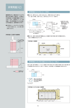 非常用進入口