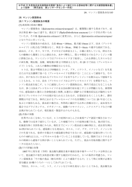 28. マンソン裂頭条虫(1/10) ※平成 22 年度食品安全