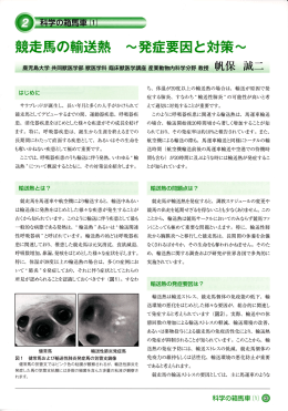 競走馬の輸送熱 発症要因と対策