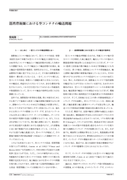 港湾背後圏における空コンテナの輸送問題