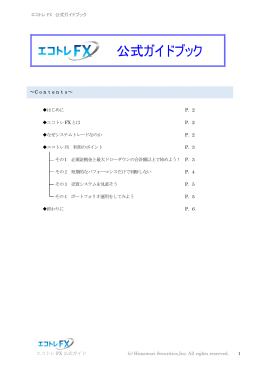 公式ガイドブック