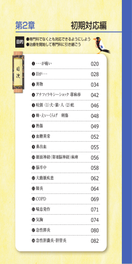 第2章 初期対応編（PDF形式：3.48MB）