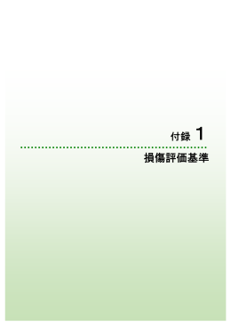 広島市橋梁点検マニュアル 第2編付録1 損傷評価基準