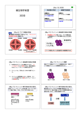 有 無