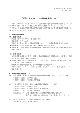 （仮称）天神スポーツ広場の整備等について