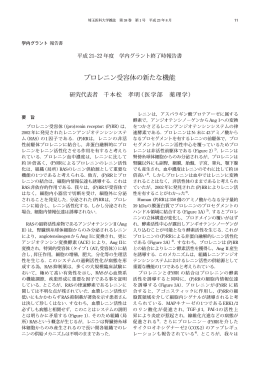 プロレニン受容体の新たな機能