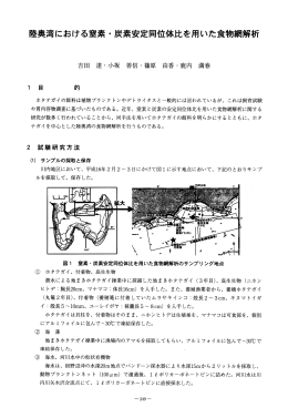 陸奥湾における窒素・炭素安定同位体比を用いた食物網解析