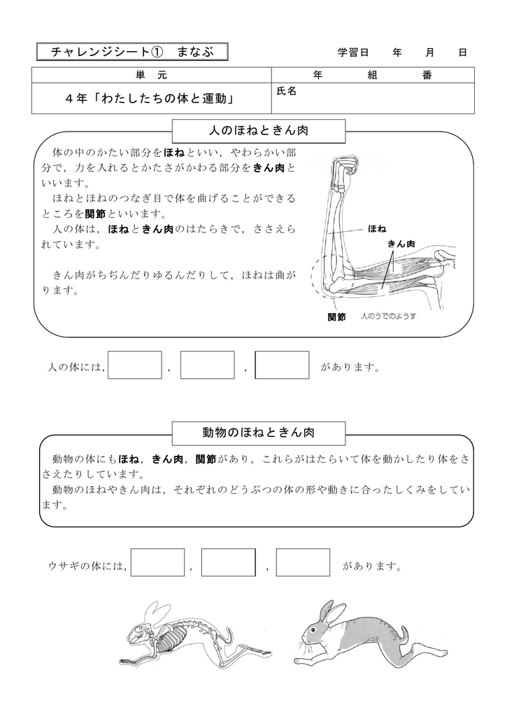 チャレンジシート まなぶ 4年 わたしたちの体と運動 人のほねときん肉