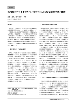 核内性ステロイドホルモン受容体による転写制御の分子機構