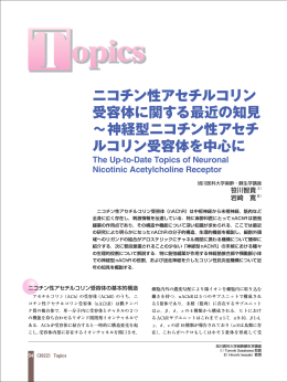 ニコチン性アセチルコリン 受容体に関する最近の知見 〜神経型ニコチン