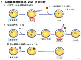 1．各種体細胞核移植（SCNT）法の比較