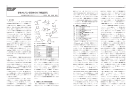 植物ホルモン受容体の分子構造研究