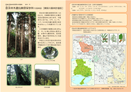 音水林木遺伝資源保存林(105林班)［揖保川森林計画区］