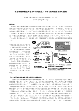 精原細胞移植技術を用いた海産魚における代理親魚技術の開発