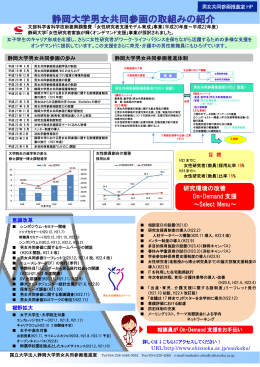 男女共同参画の取組PDF
