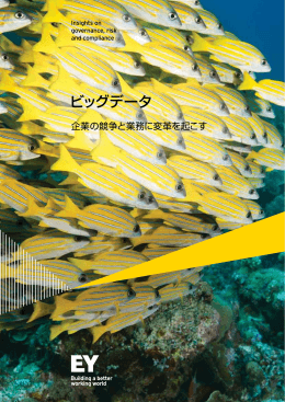 Insights on GRC ビッグデータ