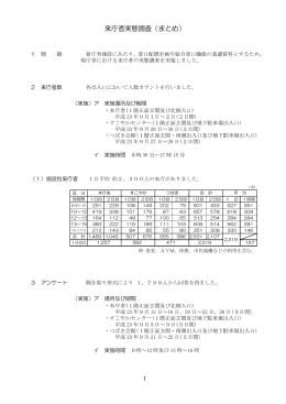 来庁者実態調査（まとめ）（PDF）