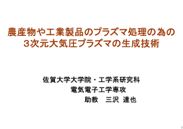 農産物や工業製品のプラズマ処理の為の 3次元大気圧プラズマの生成