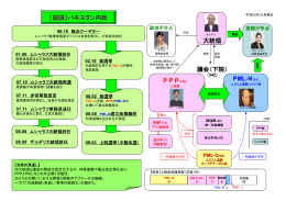 ［図説］パキスタン内政 PML-N（91） P P P 大統領 議会（下院）