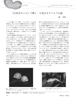 『右利きのヘビ』で解く，左巻きカタツムリの謎