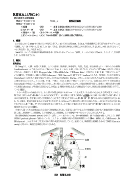 左 右 左 右 - がん情報サービス
