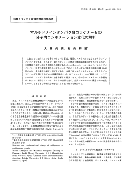 マルチドメインタンパク質コラゲナーゼの 分子内コンホメーション変化の解析