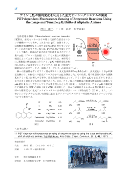 アミン pKa の動的変化を利用した蛍光センシングシステムの開発 PET