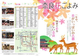 花 がい っ ぱ い の 古都 美 しい 奈良