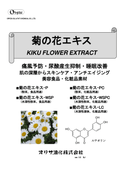 菊の花エキス製品カタログ