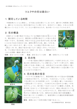 ツユクサの花は面白い 1．開花している時間 2．花の構造 3．花の性 4