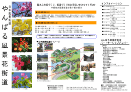 やんばる風景花街道 - 内閣府 沖縄総合事務局