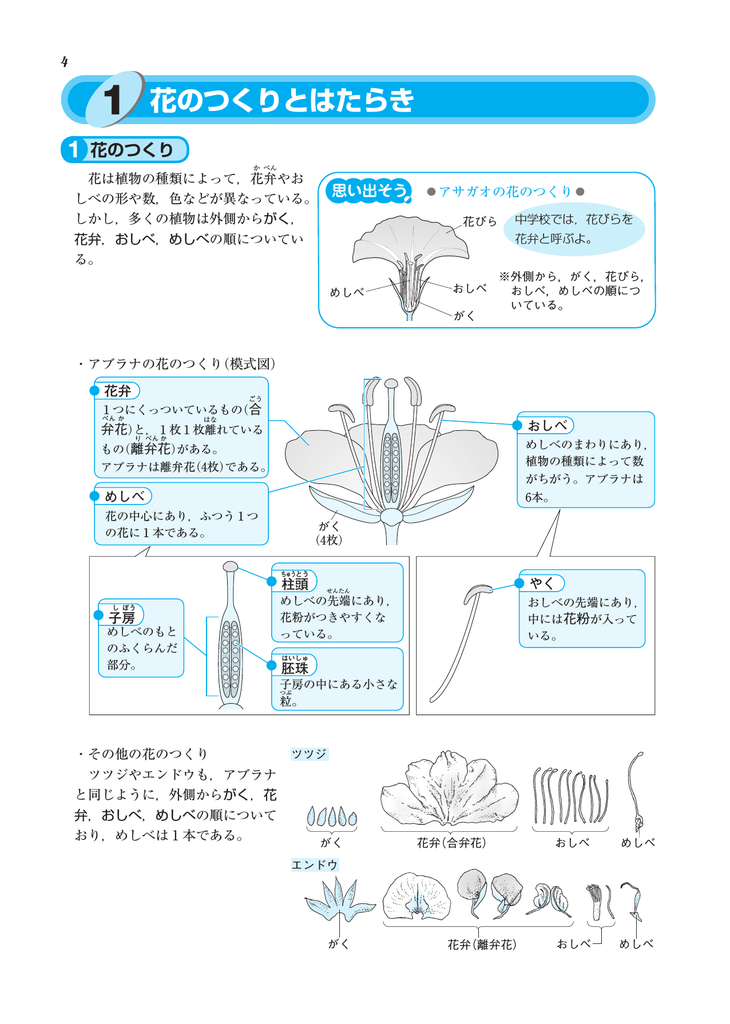 1 花のつくりとはたらき