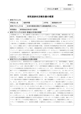 研究進捗状況報告書の概要