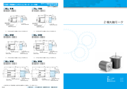 2 極丸軸モータ