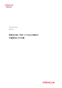 現実性の高い予測：リスクおよび機会の 不確実性からの分離